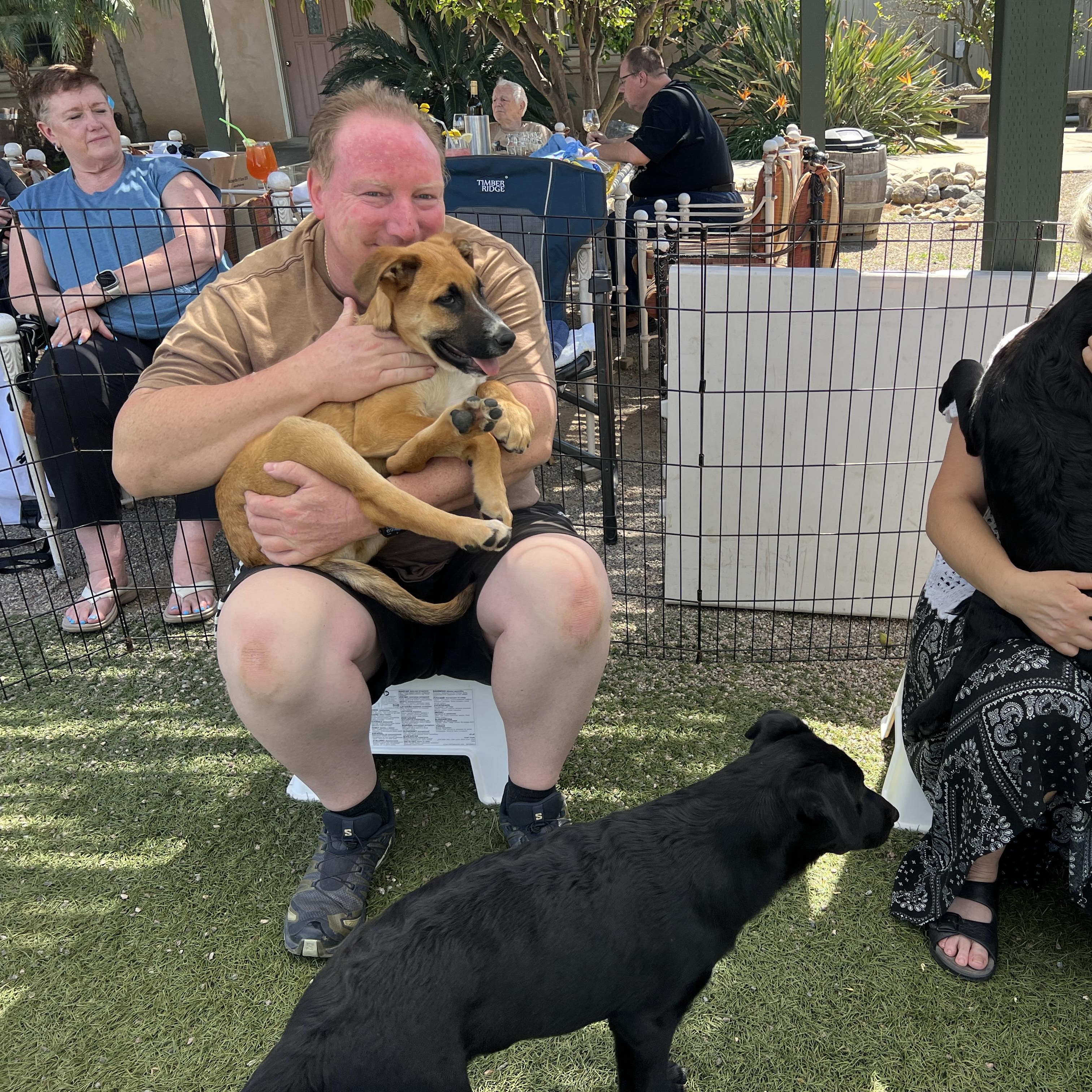 Enlarge Boone , a Adoptable mixed breed in Carlsbad, CA image 4/5