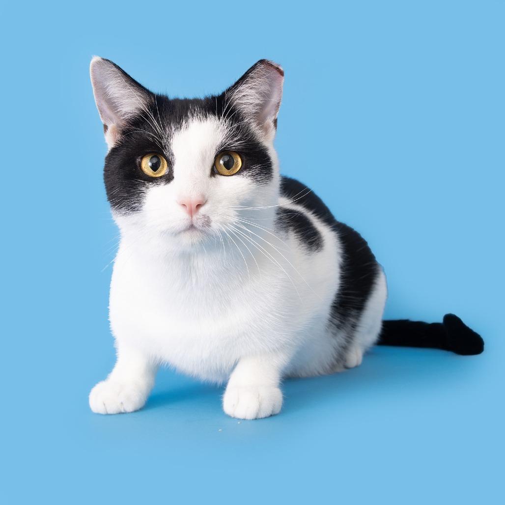 Grigsby — thumbnail 2