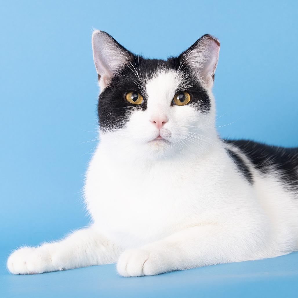 Grigsby — thumbnail 3