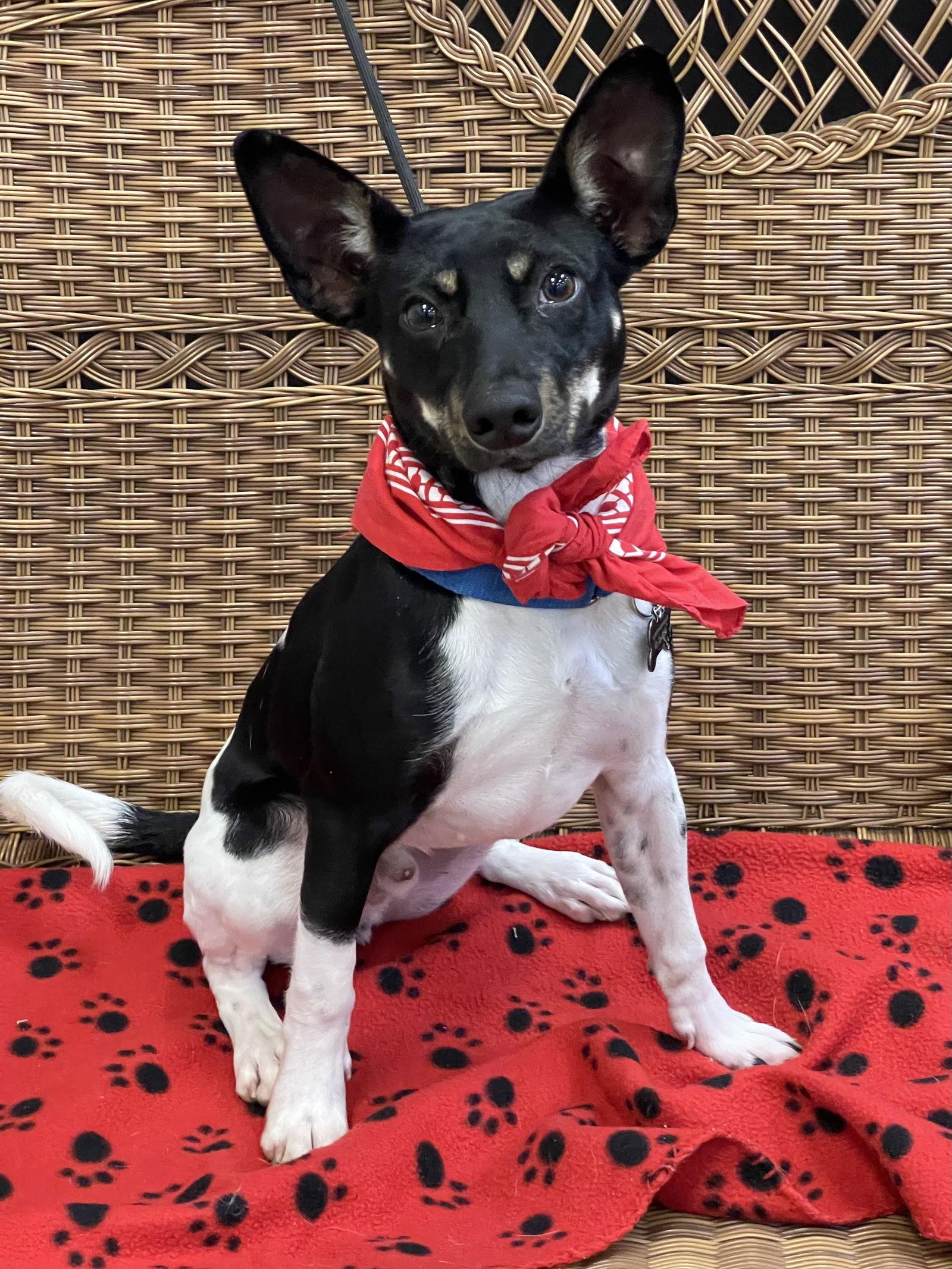 Ridge Louisiana thumbnail 2