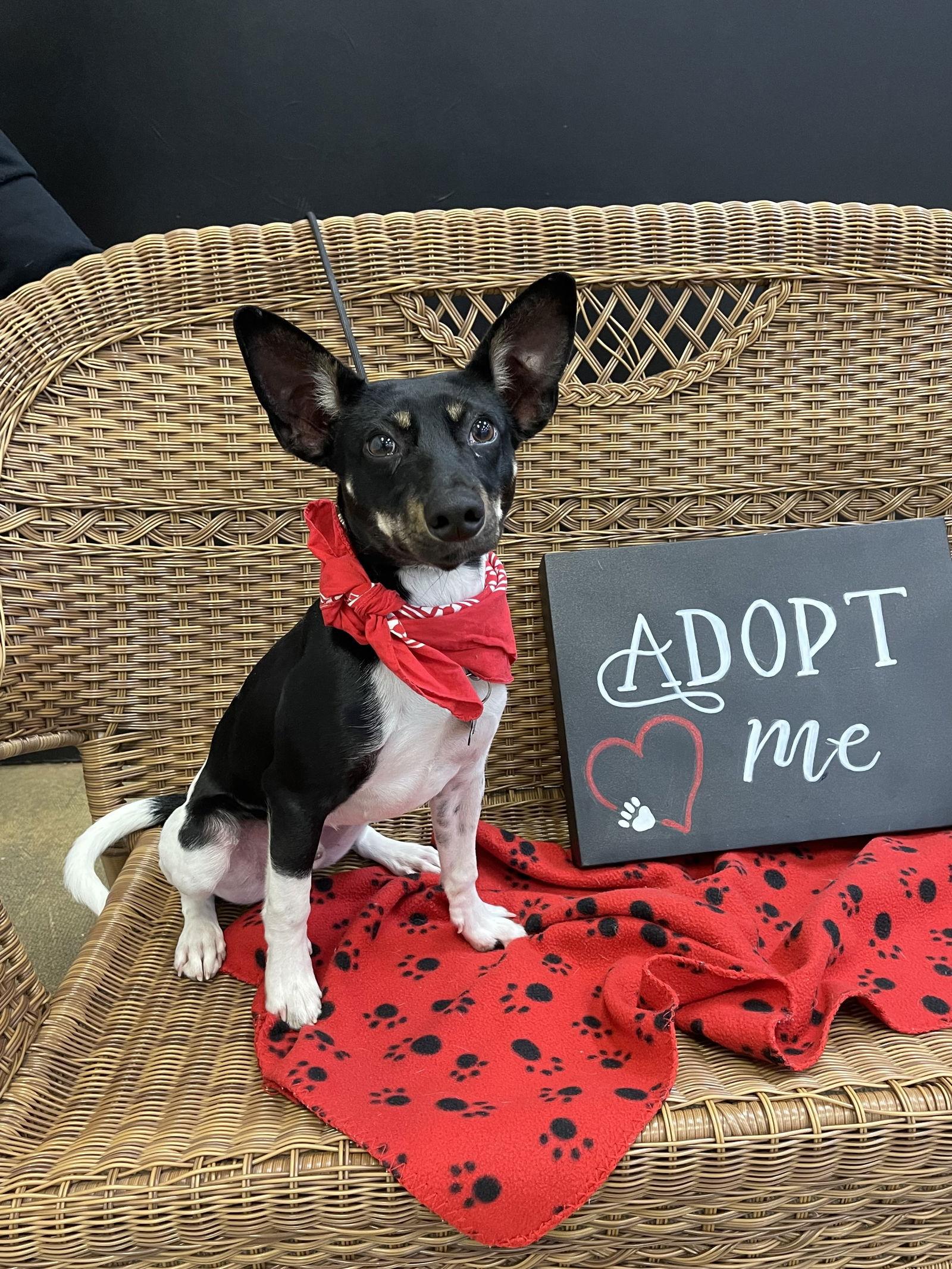 Ridge Louisiana thumbnail 3