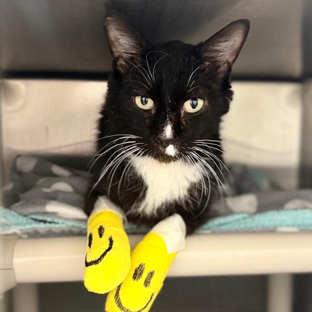 Mumble — thumbnail 3