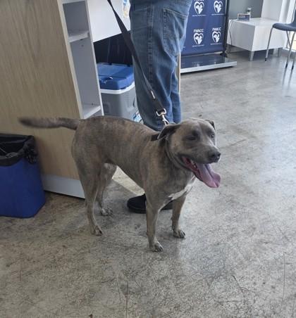 Storm — thumbnail 2