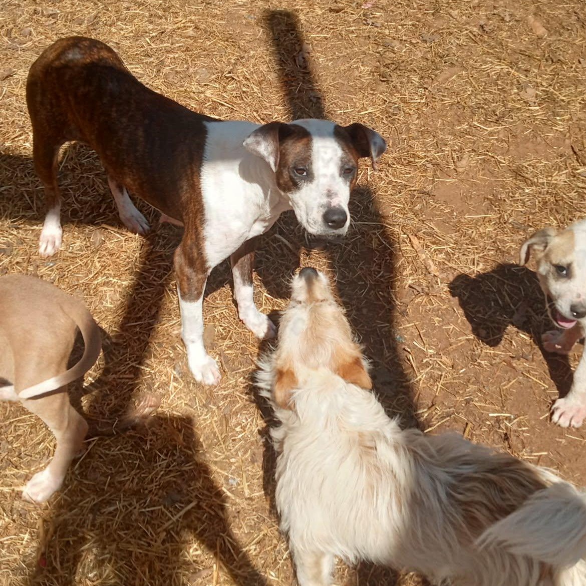 Elizabeth thumbnail 2