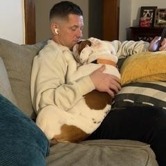 Enlarge Rubble, a ADOPTABLE English Bulldog in Buffalo, NY image 6/6