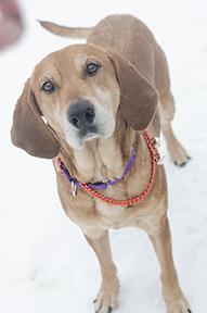 Autumn — thumbnail 2