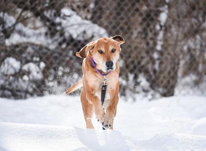 Autumn — thumbnail 3