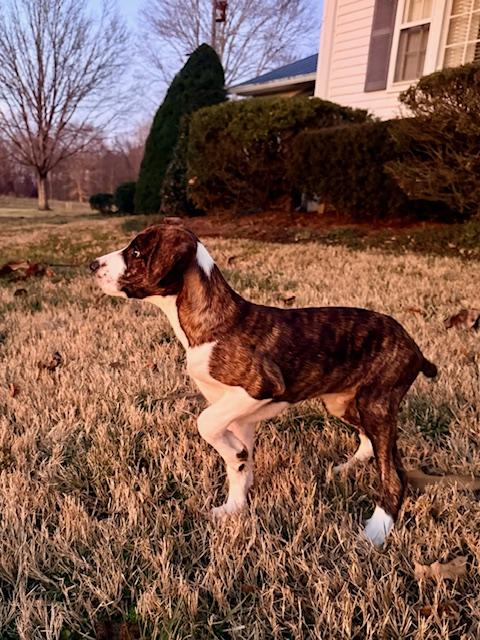 Dayna — thumbnail 2