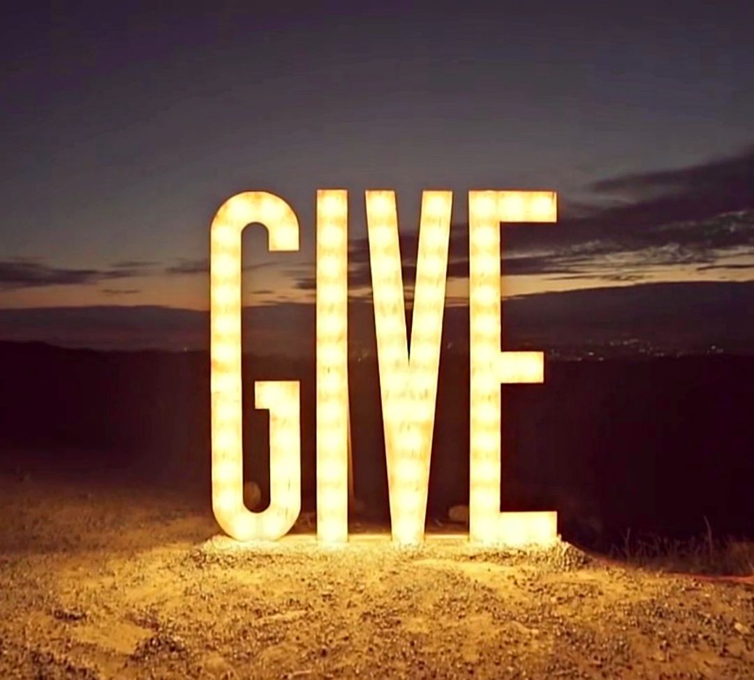 Enlarge DONATIONS NEEDED - We ARE a 501c3!, a Adoptable Mixed Breed in Orlando, FL image 4/6