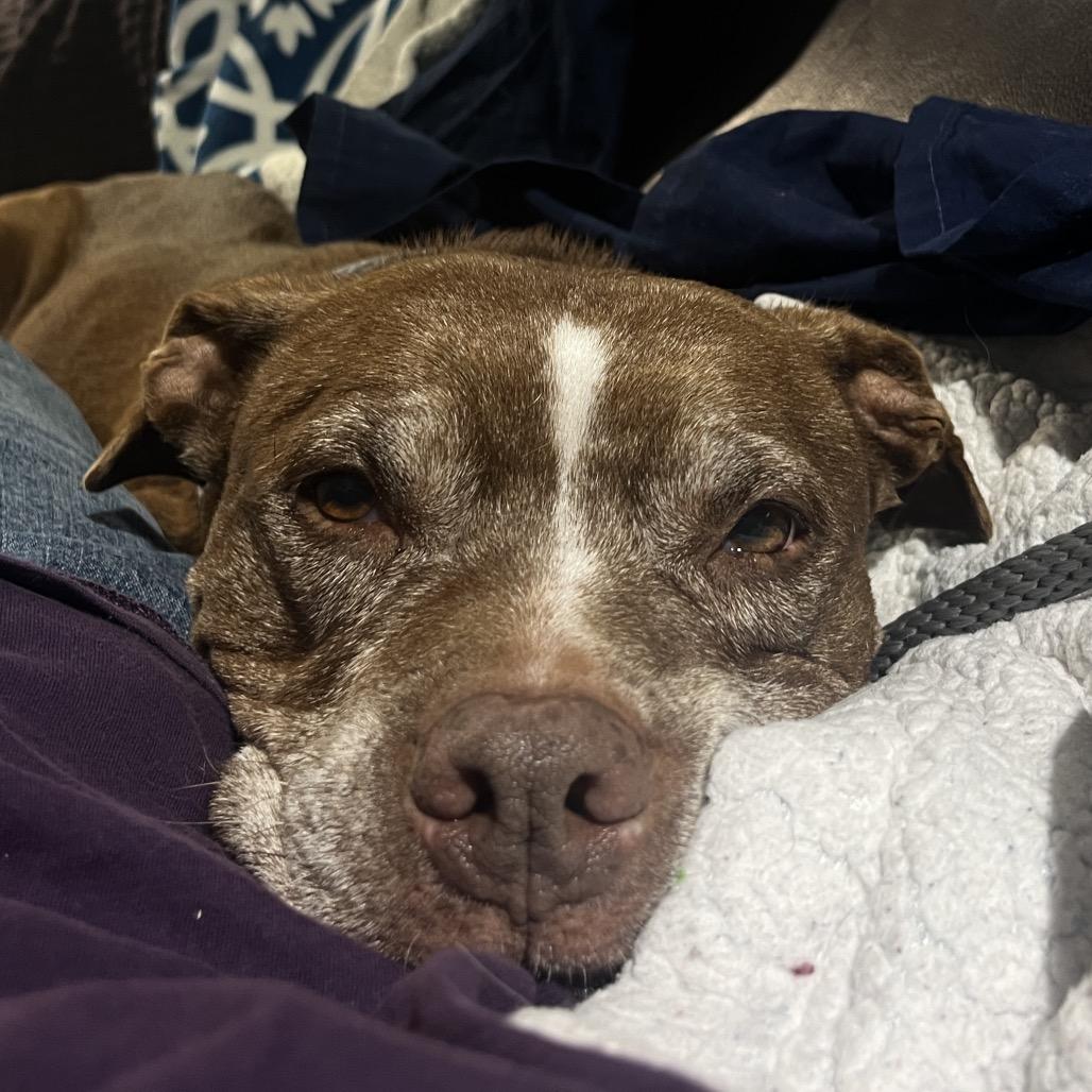 Shirley — thumbnail 2