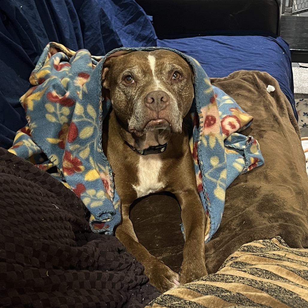 Shirley — thumbnail 5