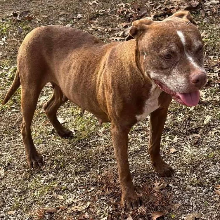 Shirley — thumbnail 6