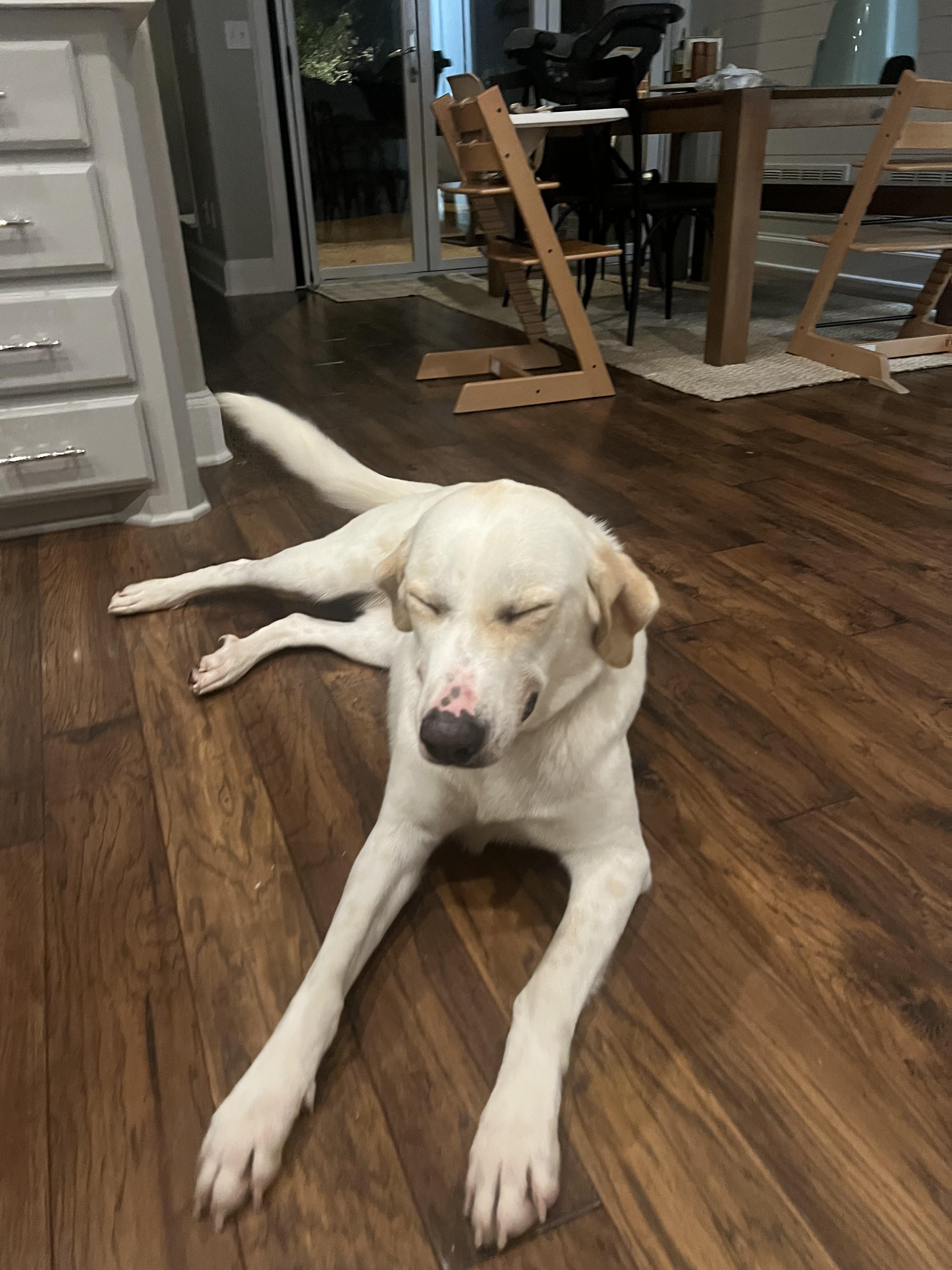Luna