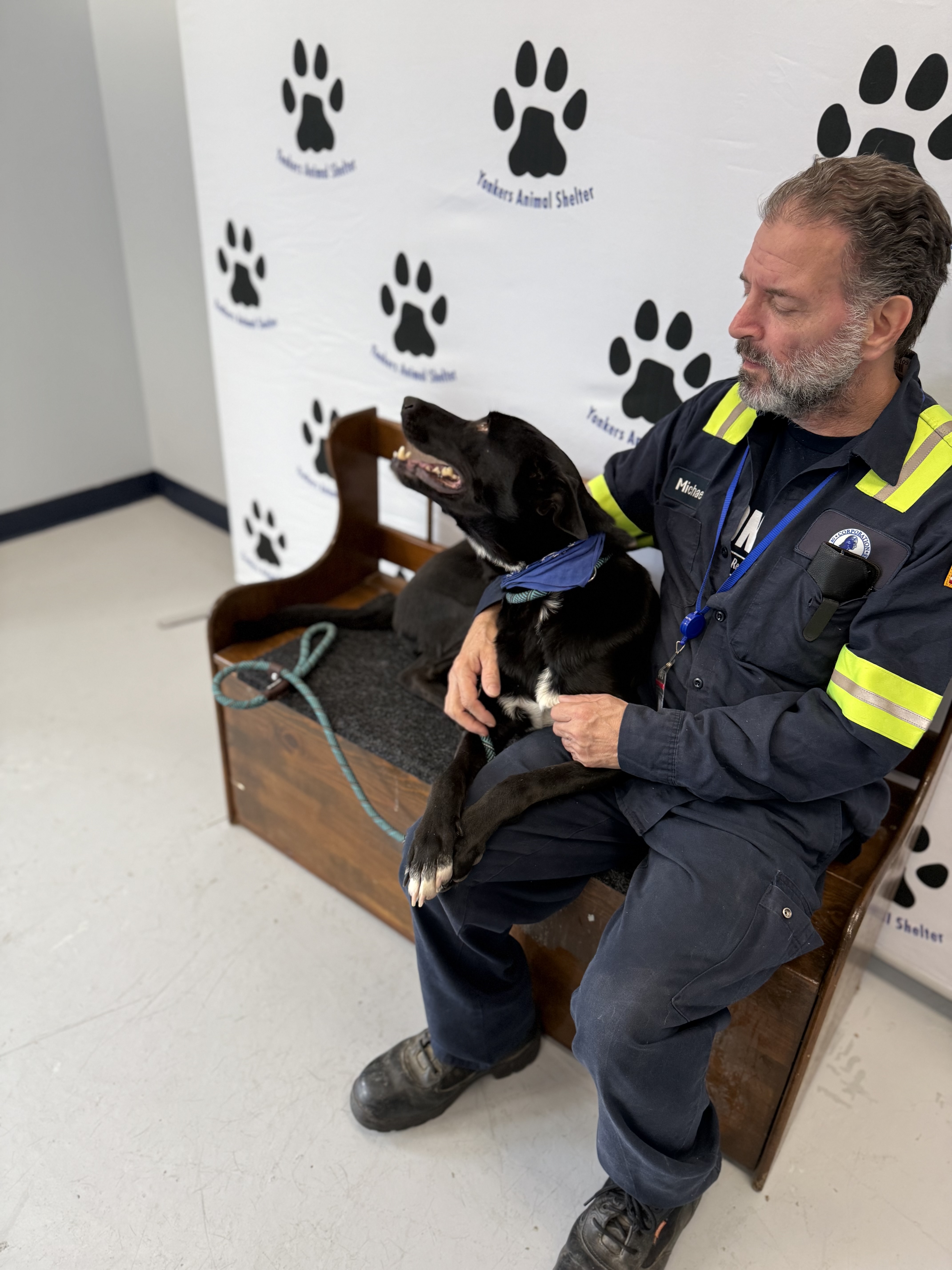 Enlarge Shadow, an adoptable mixed breed in Yonkers, NY image 5/6