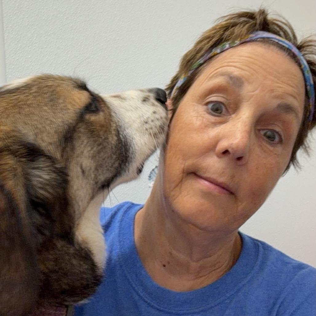 Boomer, a Adoptable mixed breed in Kingman, KS image 2/3