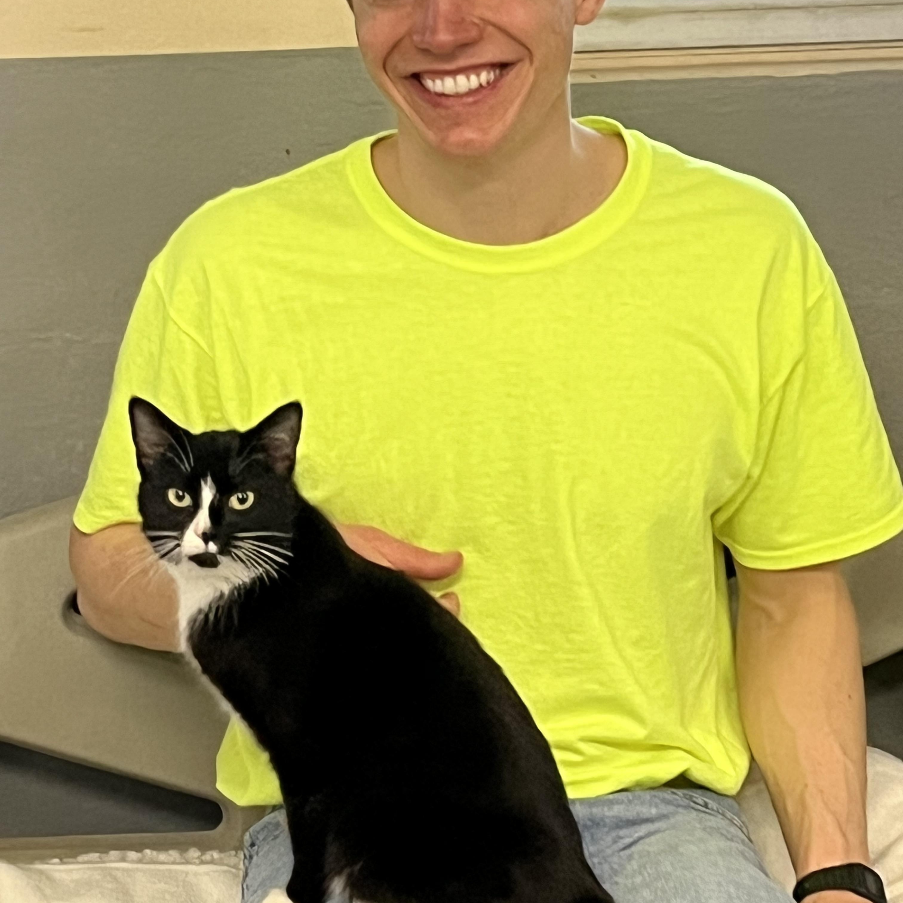 Enlarge Gemma, an adopted mixed breed in Mendham, NJ image 5/5