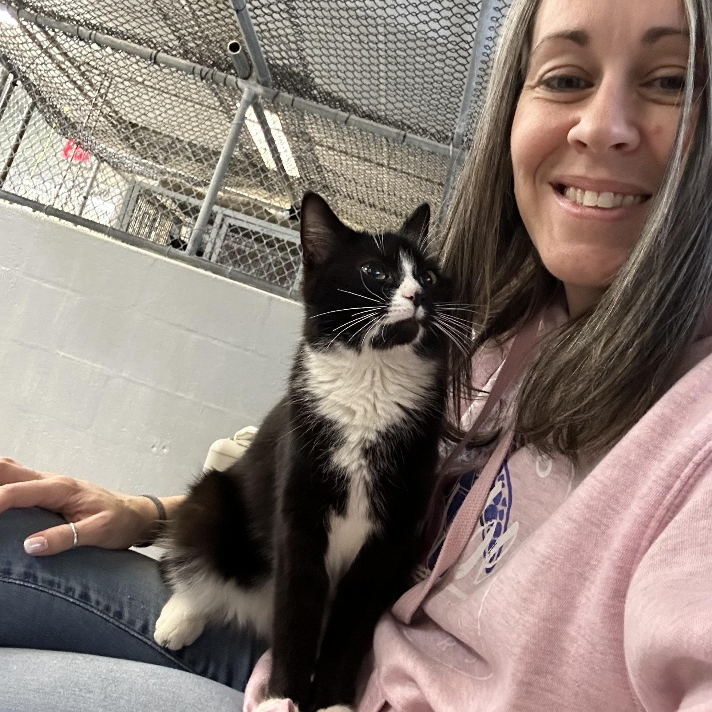 Enlarge Gemma, an adopted mixed breed in Mendham, NJ image 3/5