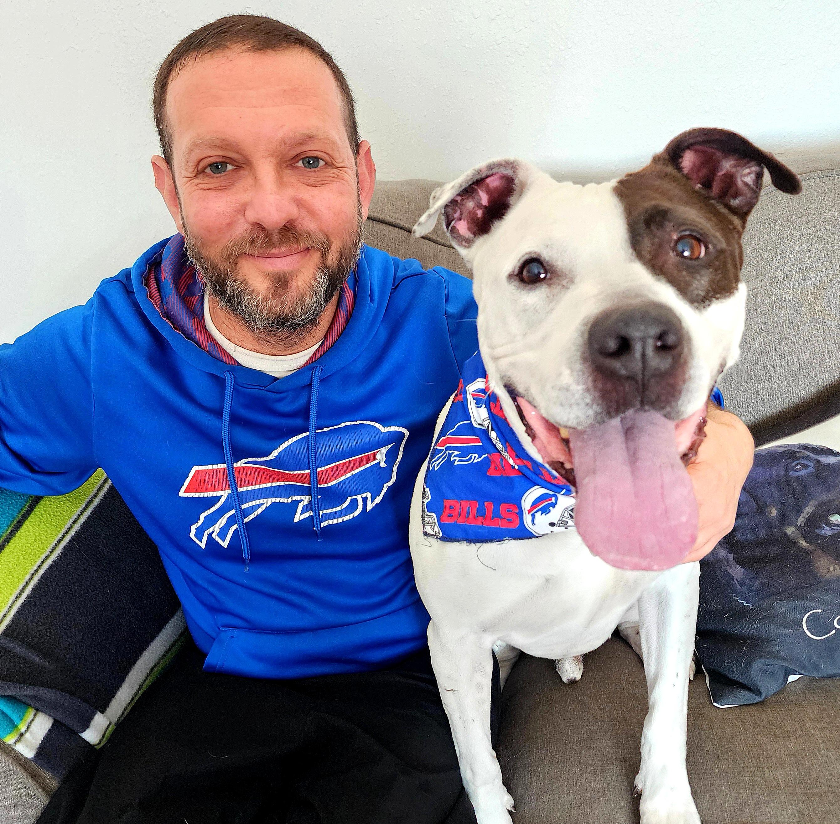 Bandit, a Adoptable mixed breed in Darien Center, NY image 4/6