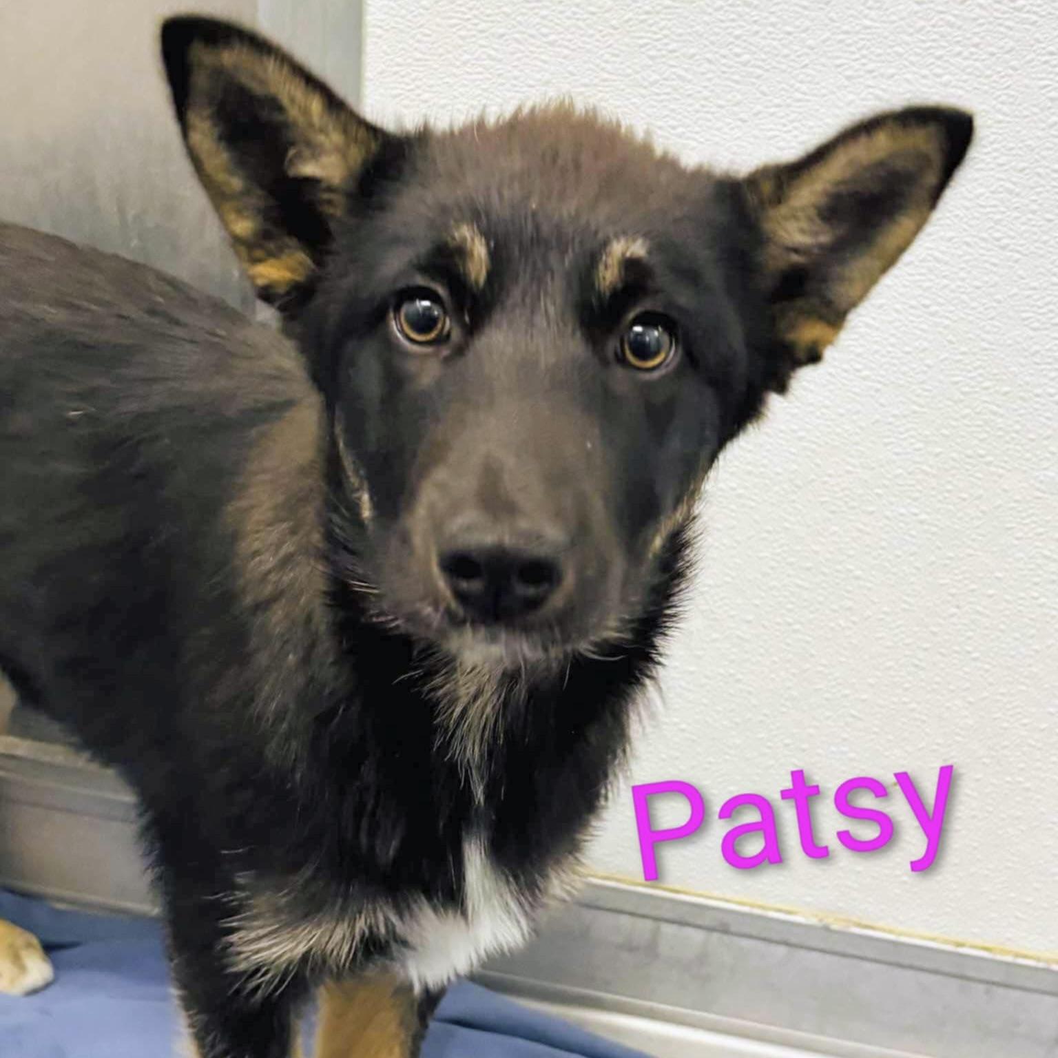 Patsy (20250926-01)