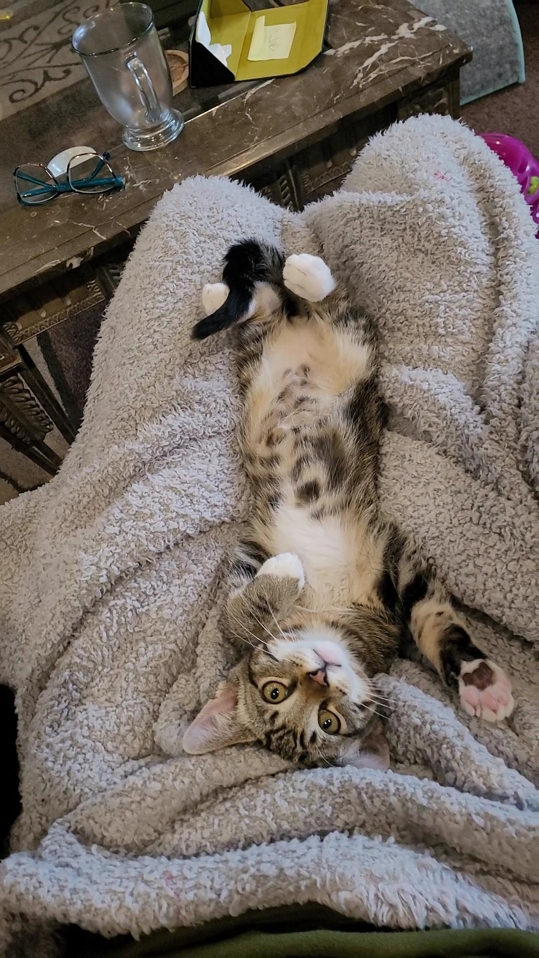 Panda & Snuggles thumbnail 7