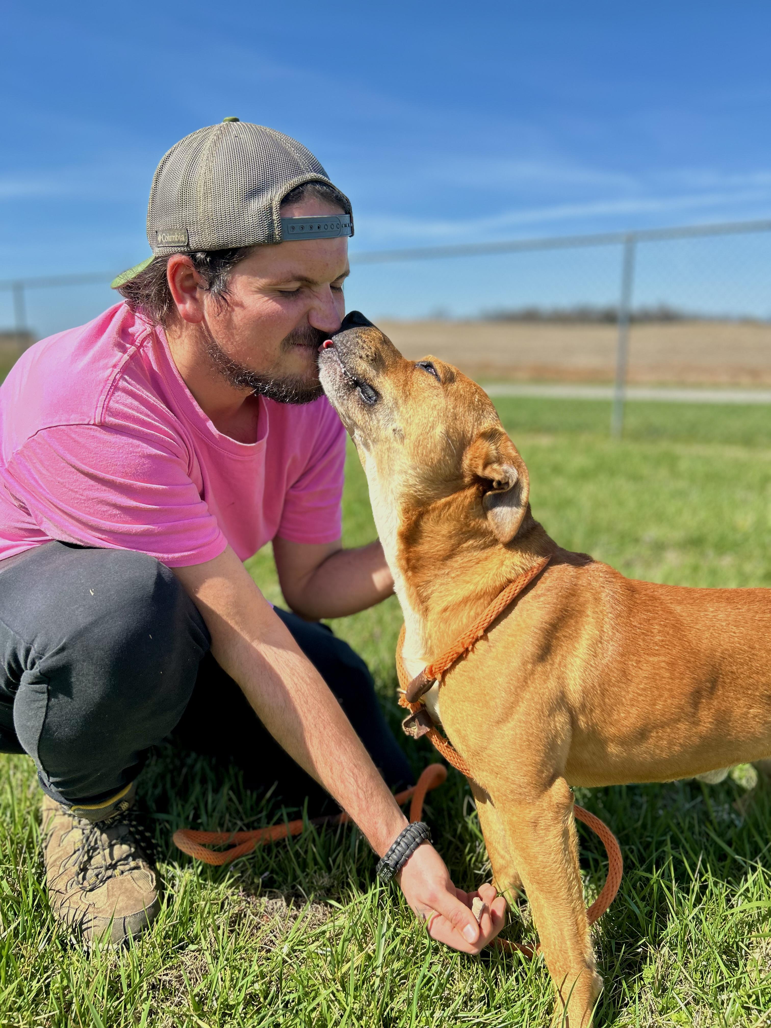 Enlarge Scooby(#2) aka Scoob , a ADOPTABLE mixed breed in Franklin, KY image 4/6