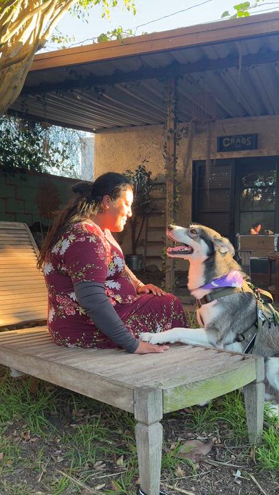 Enlarge Flash, a ADOPTABLE mixed breed in Torrance, CA video 2/6