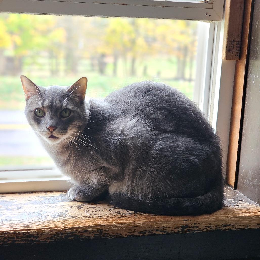 Lucky Star — thumbnail 5