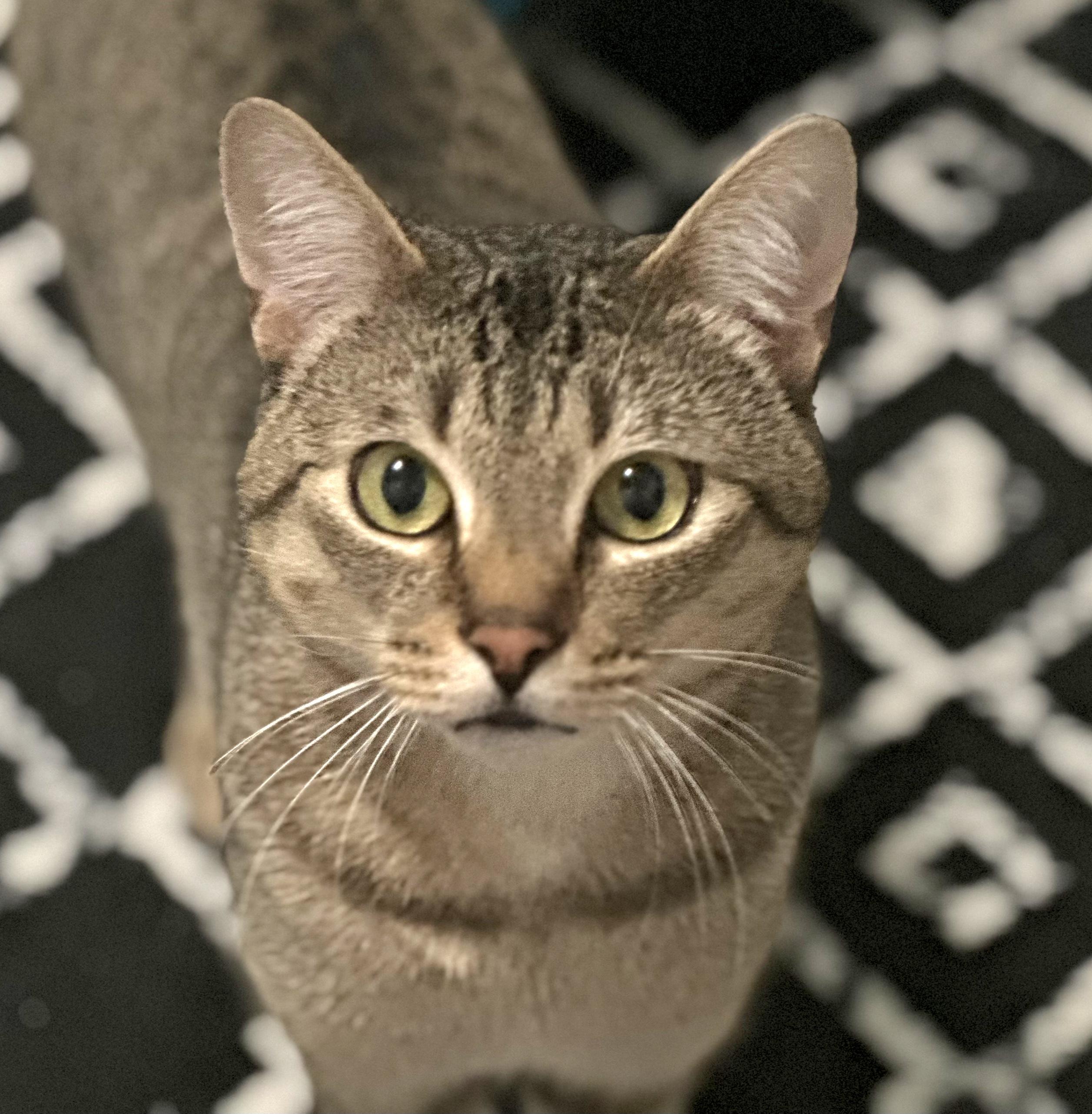 Arthur