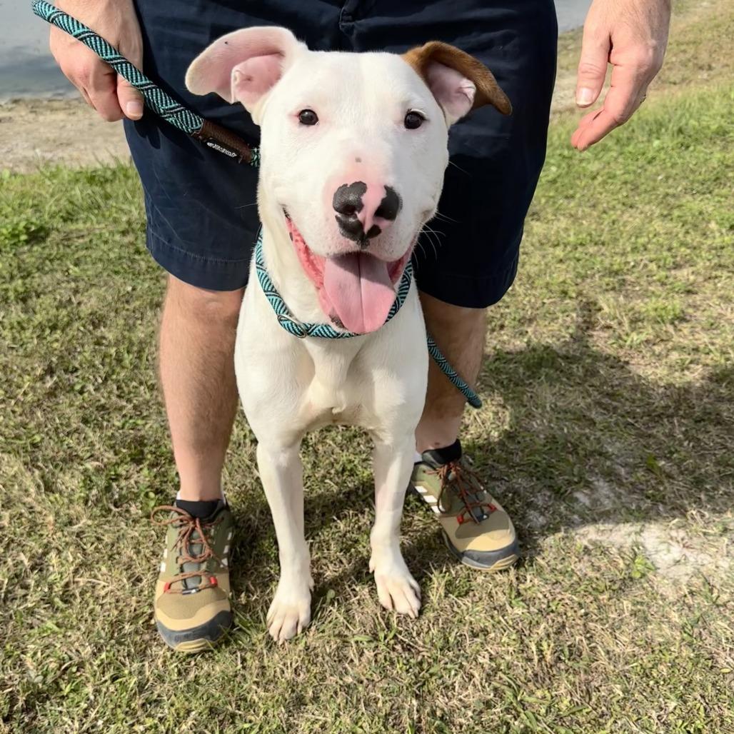 Commissioner thumbnail 3