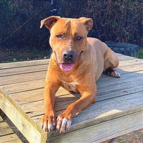 Elsie — thumbnail 3