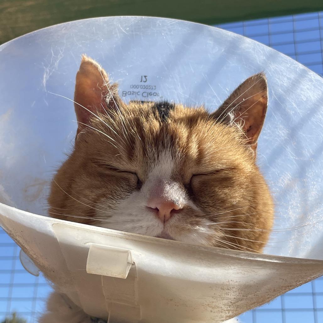 Charlee — thumbnail 4