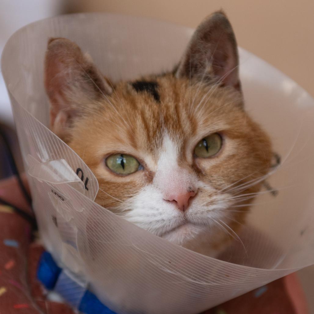 Charlee — thumbnail 6