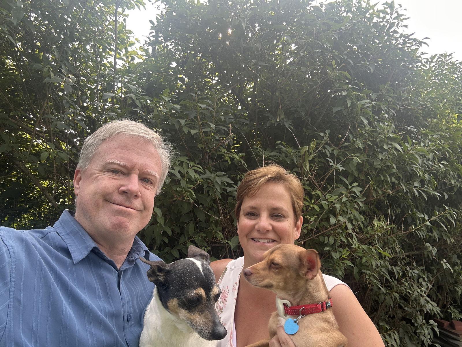 Twinings TX, a Adopted Chihuahua in Boonton, NJ image 2/3