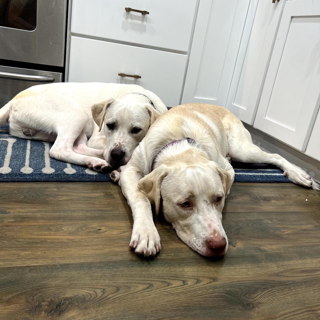 Michael Gray — thumbnail 2