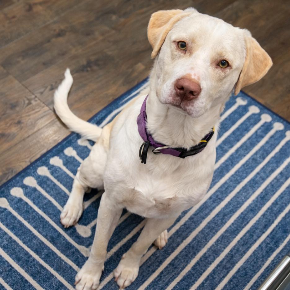 Michael Gray — thumbnail 3