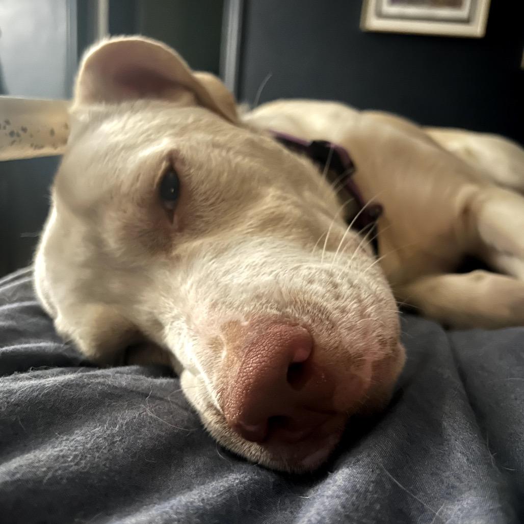 Michael Gray — thumbnail 4