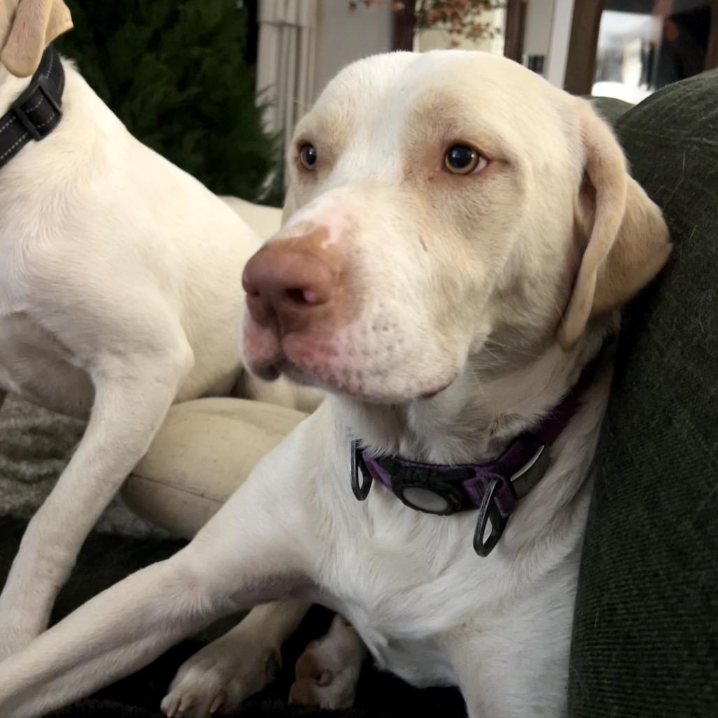 Michael Gray — thumbnail 5