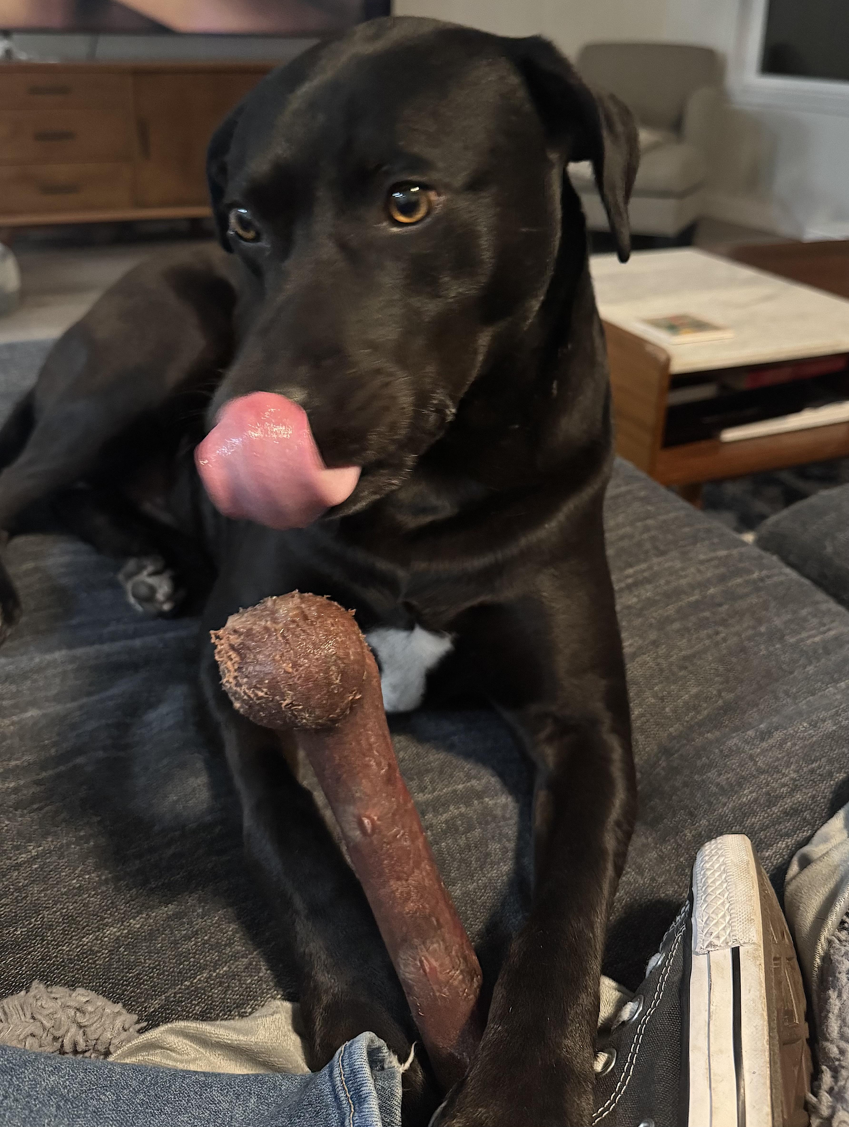 Tucker photo 3