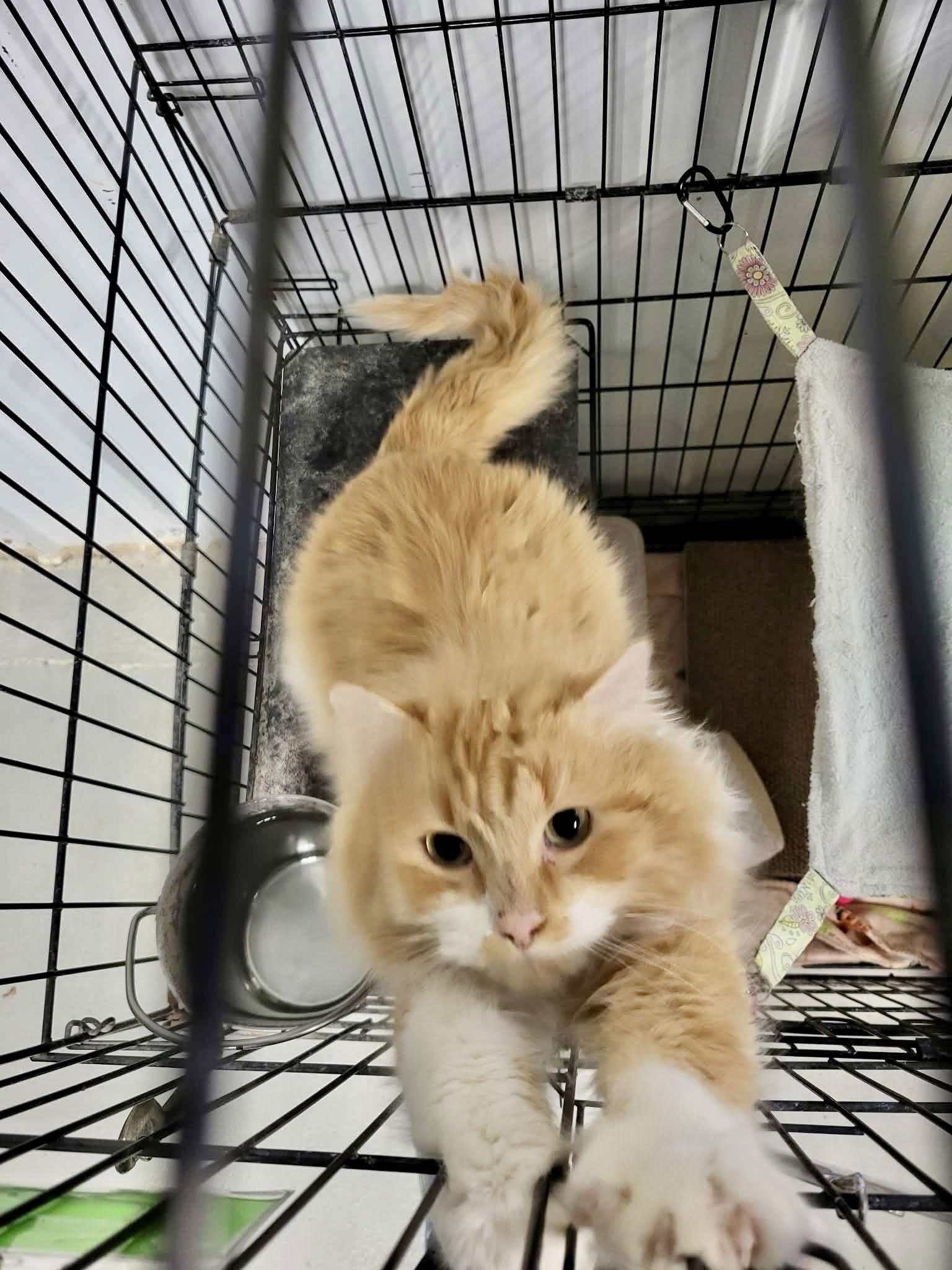 North — thumbnail 2