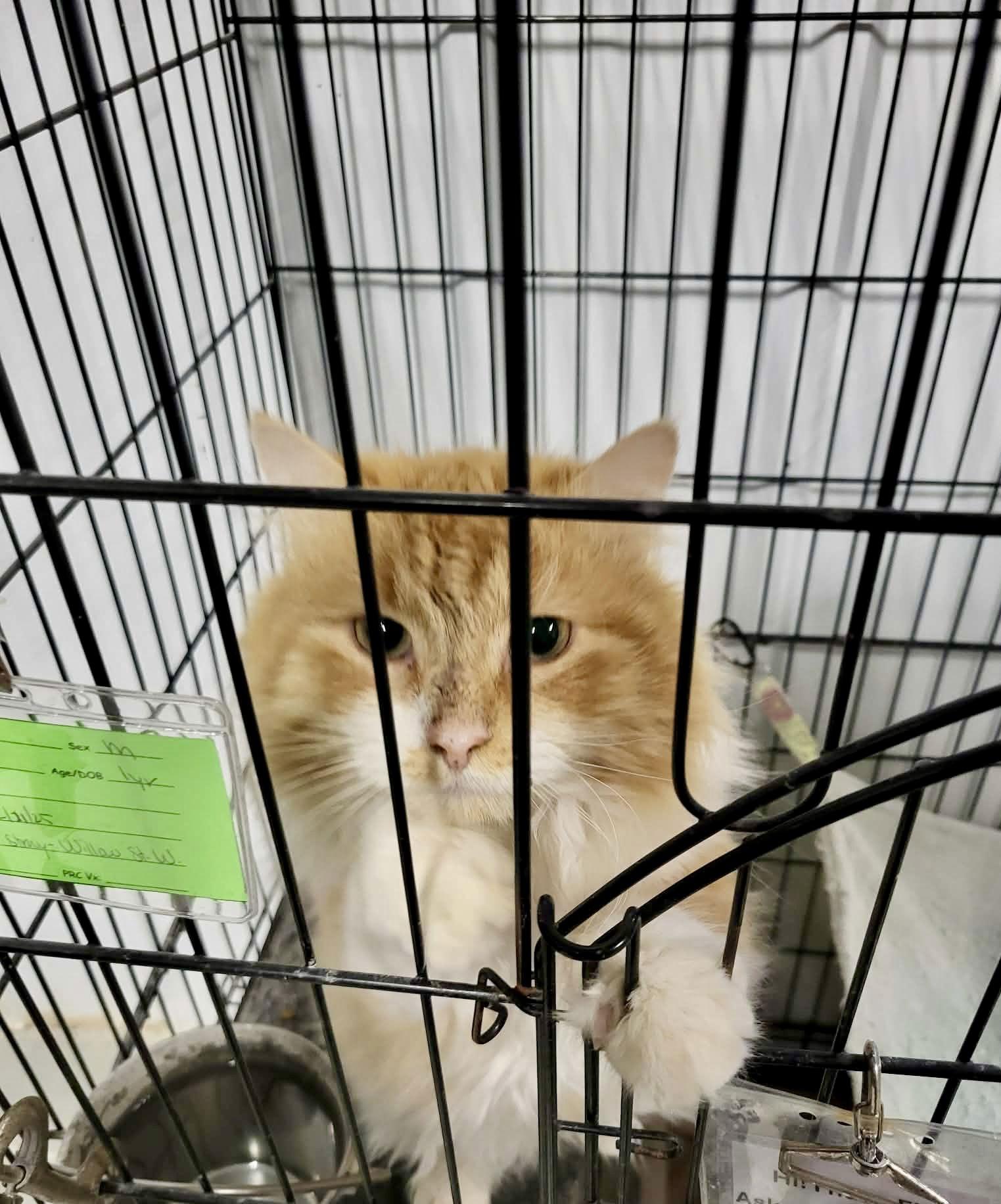 North — thumbnail 3