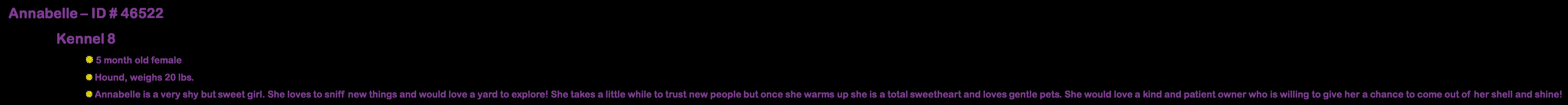 Enlarge Annabelle, a Adoptable Hound in Suffolk, VA image 3/3