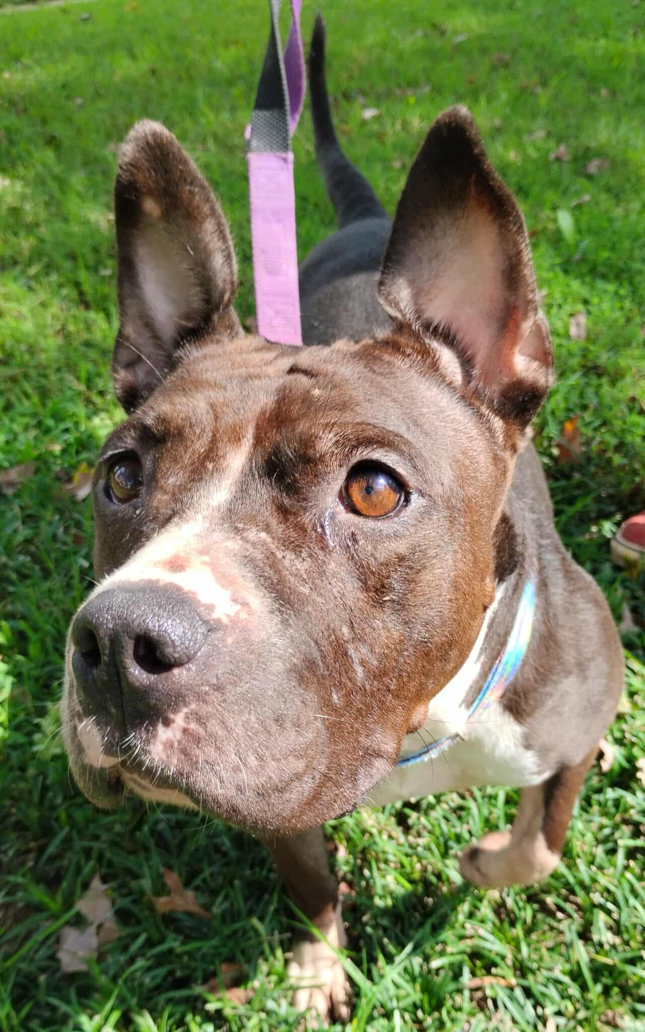 MIsty — thumbnail 6