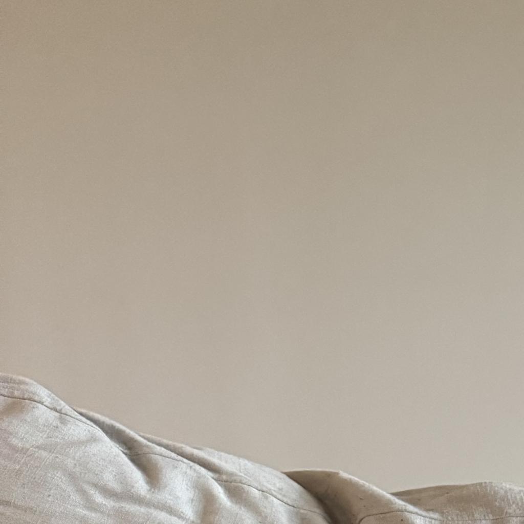 Enlarge Snoop, a Adoptable Mixed Breed image 5/6