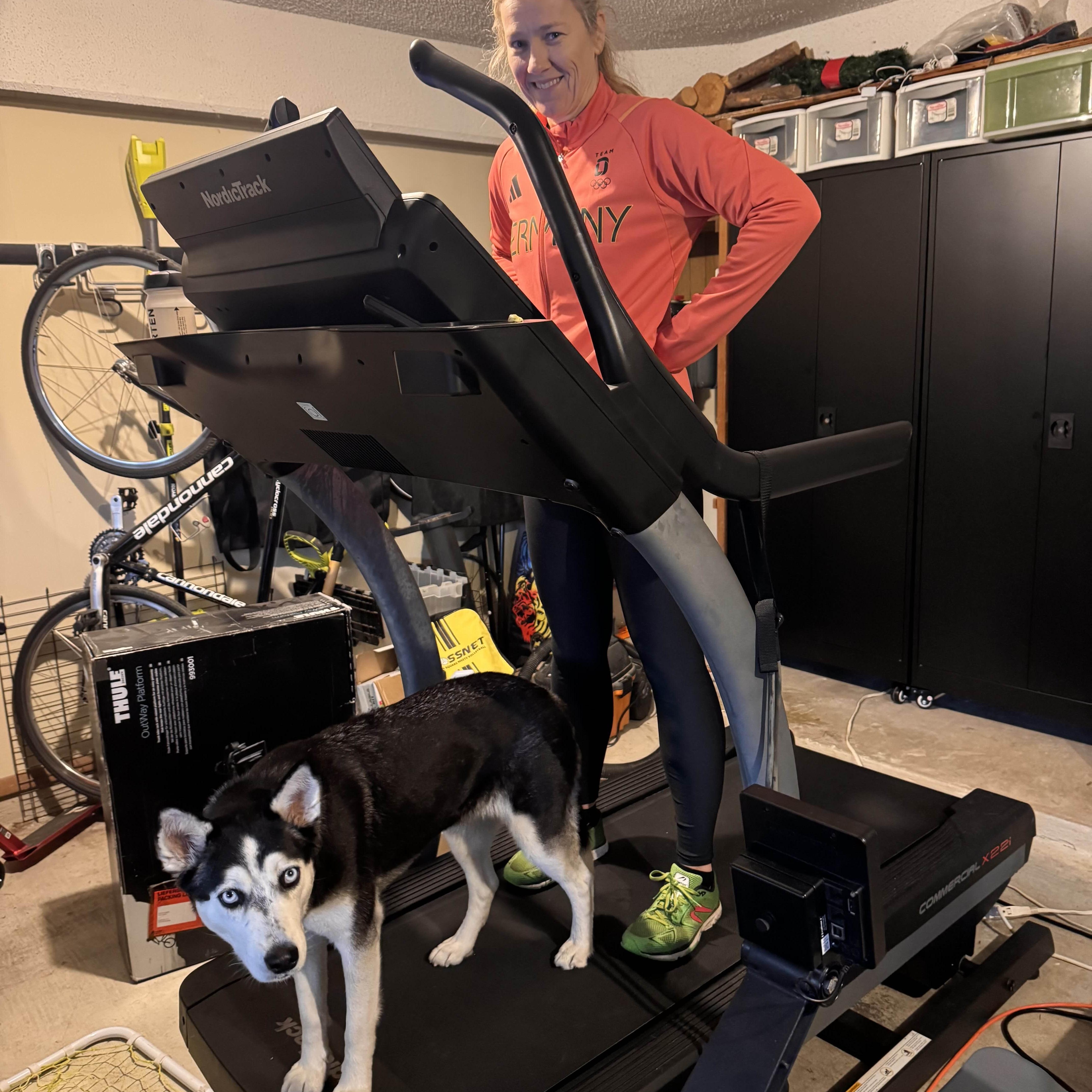 Enlarge Sprite, a Adoptable mixed breed in Portland, OR image 6/6