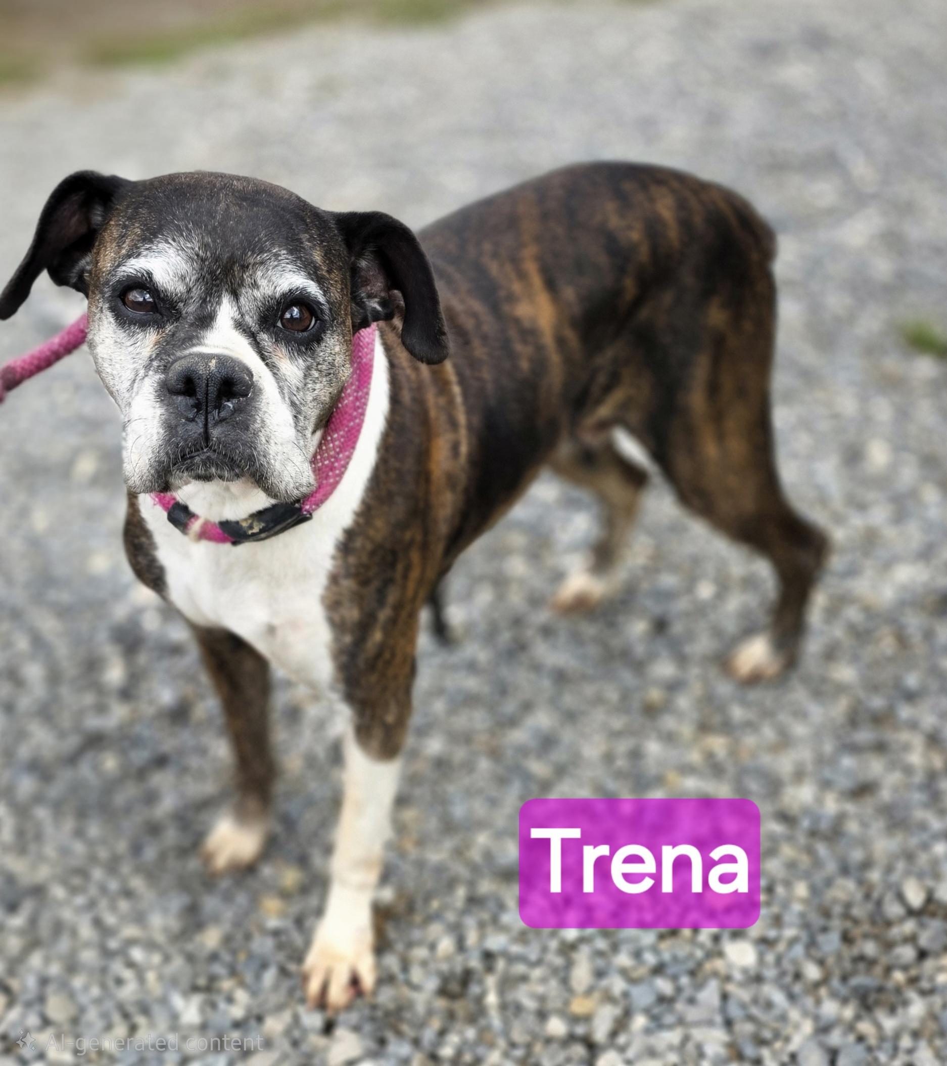Trena photo