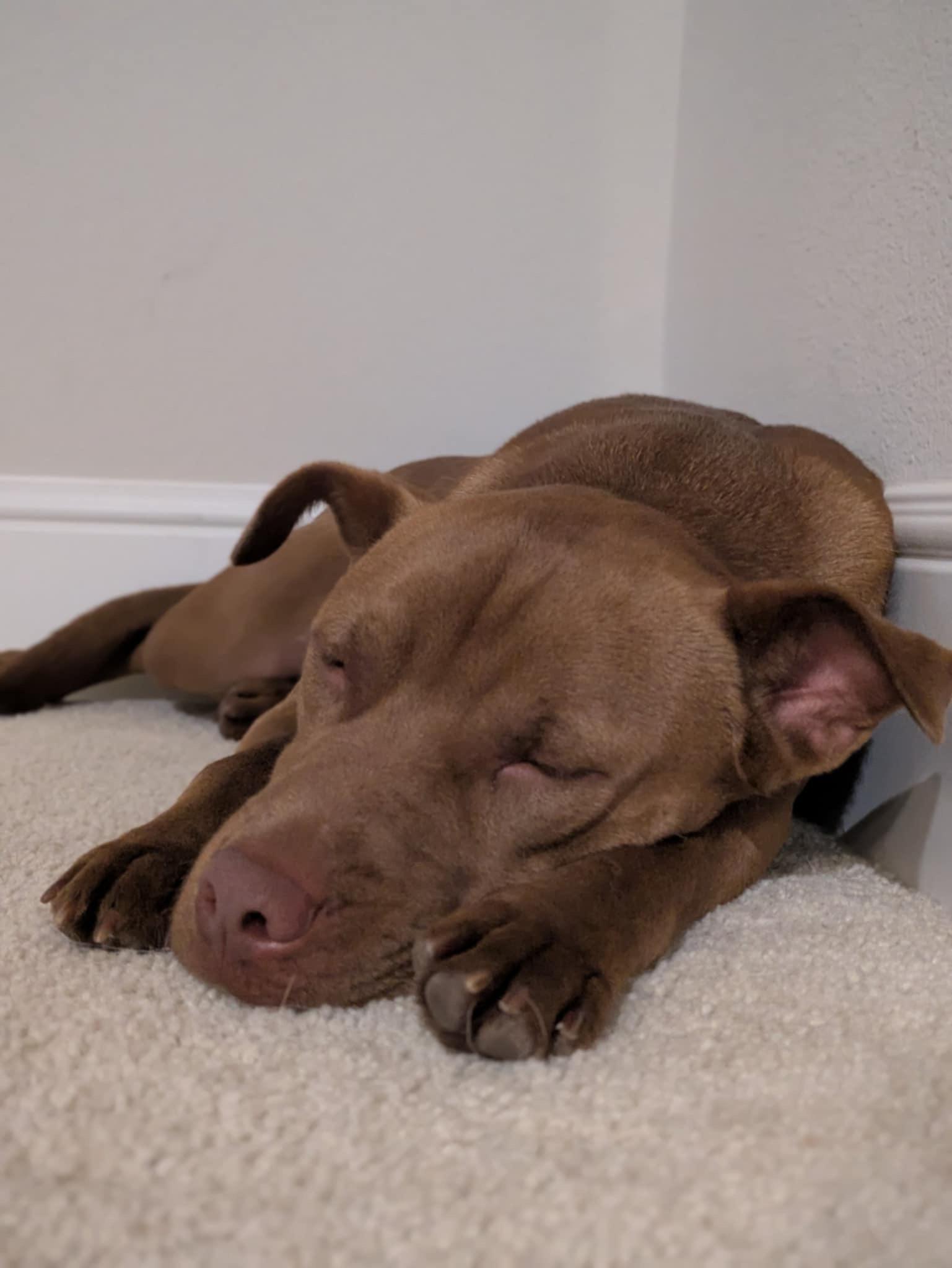 Mocha