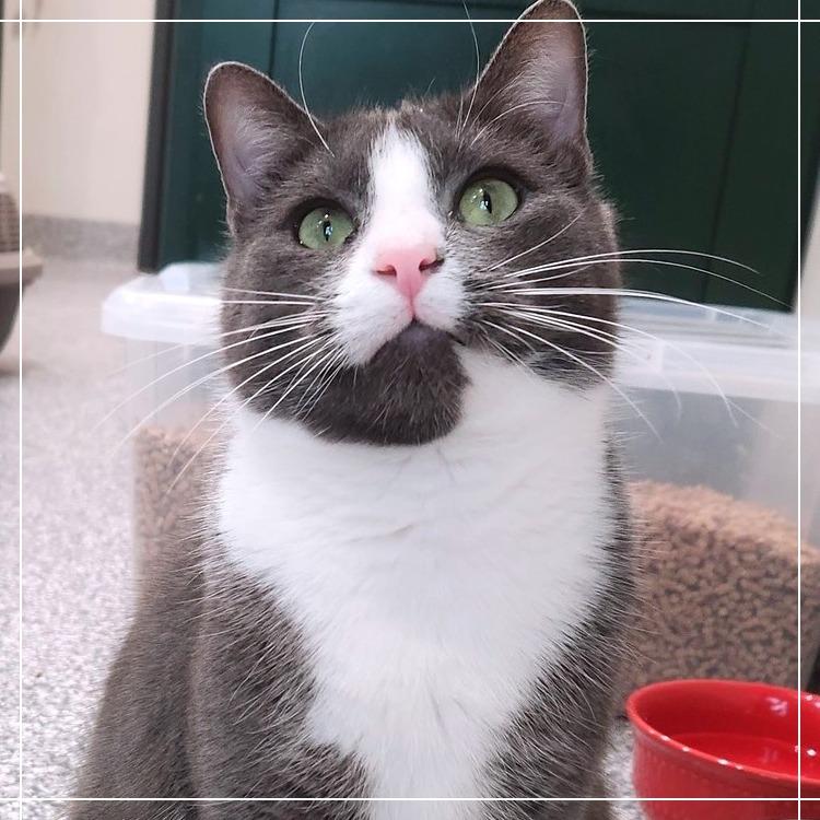 Peter Griffin — thumbnail 2