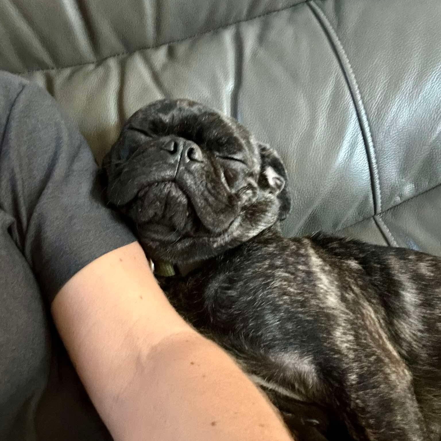 Xavi — thumbnail 6