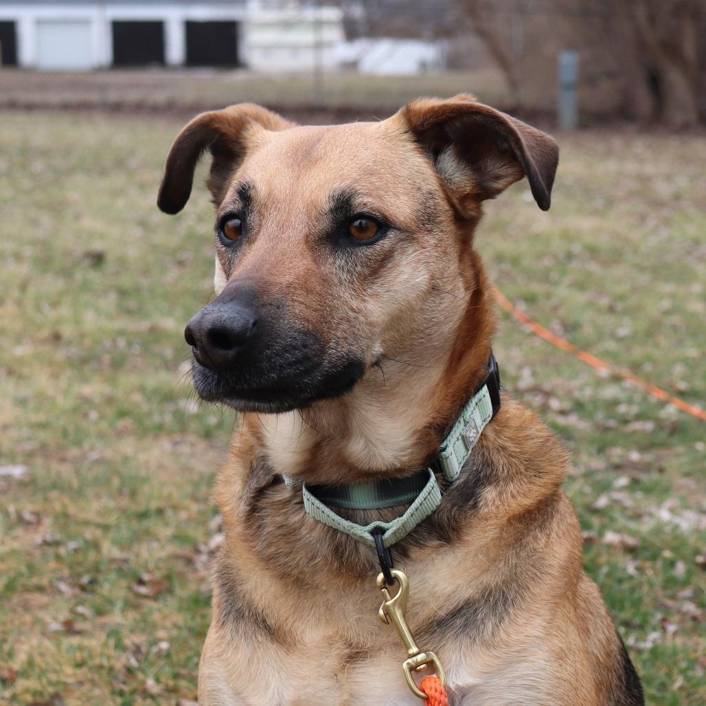 Daisy — thumbnail 3