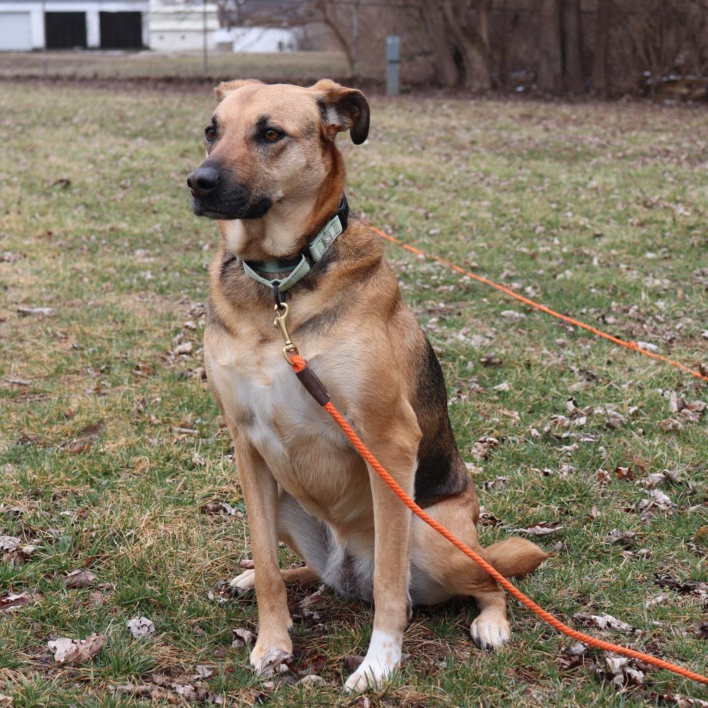 Daisy — thumbnail 4